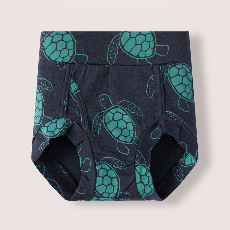 Faux-Front - Turtles