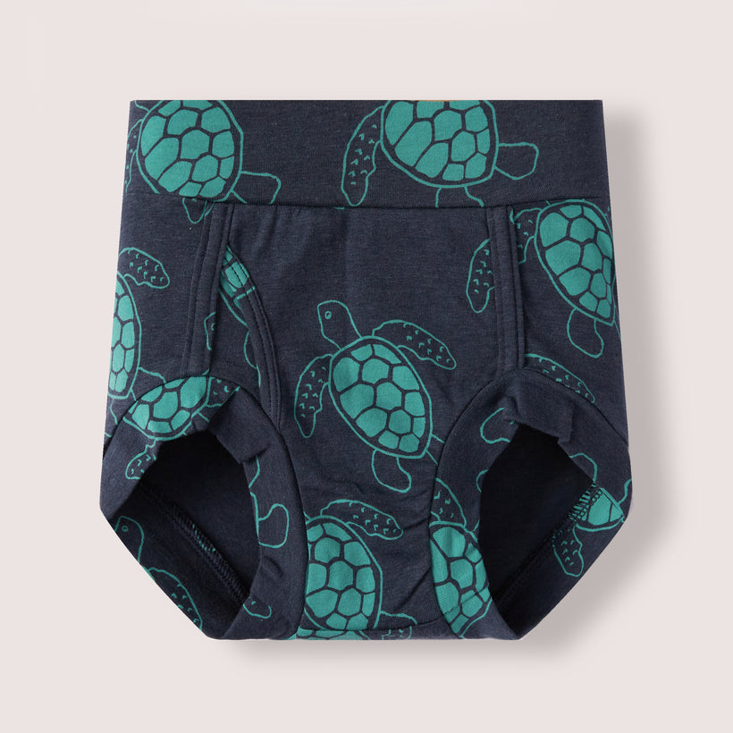 Faux-Front - Turtles